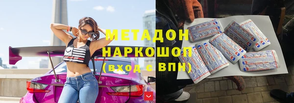 индика Абаза