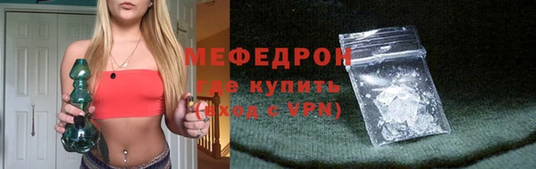 индика Абаза