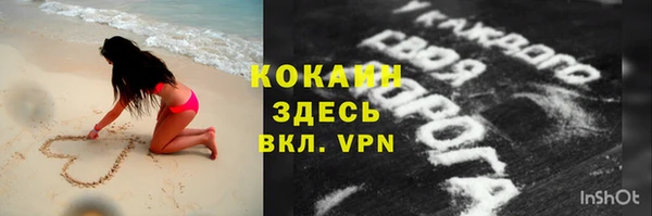 индика Абаза