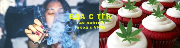 индика Абаза