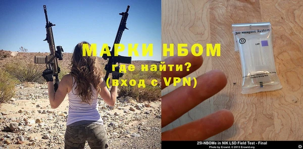 индика Абаза