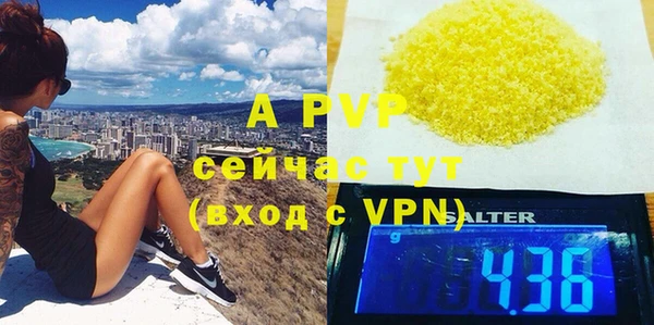 индика Абаза