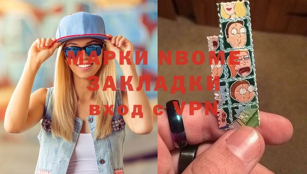индика Абаза