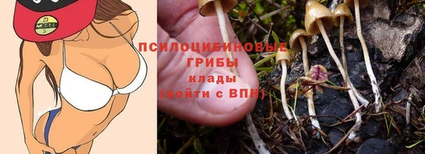 стаф Новый Уренгой