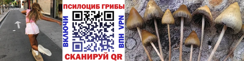 закладка  Агрыз  кракен ССЫЛКА  Псилоцибиновые грибы мухоморы 
